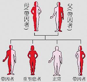 【药学部】可恶的地中海贫血,是怎么回事?有何治疗新进展?